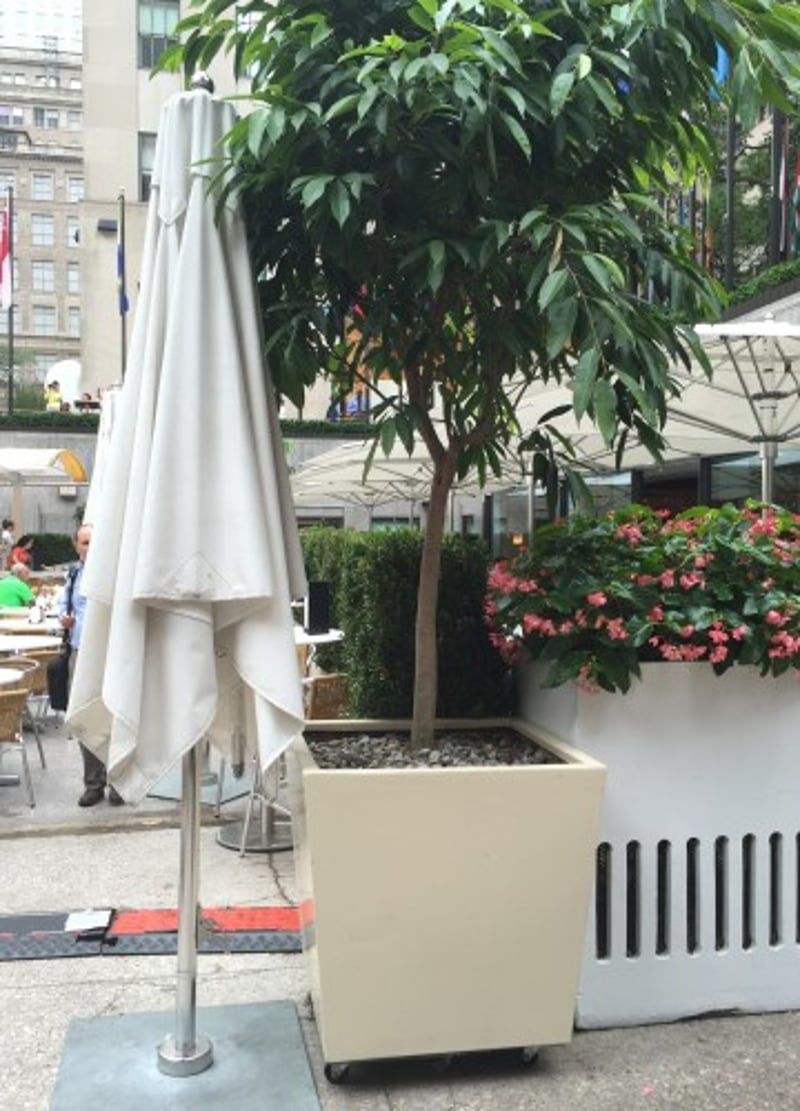 Rockin' Summer At Rockefeller Center preview 6